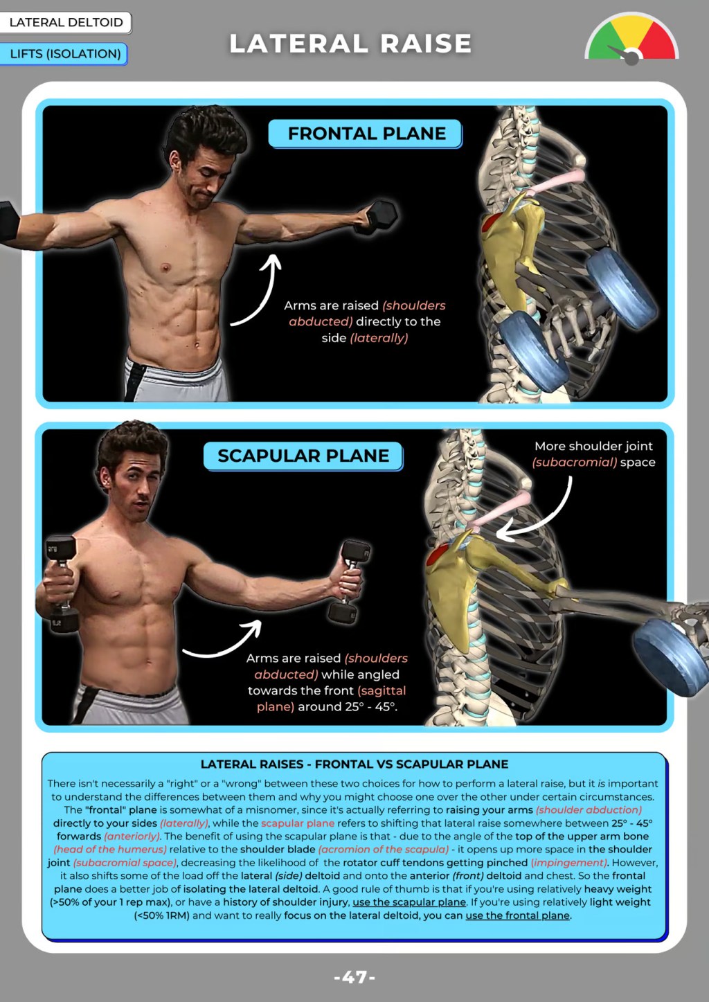 The Big Lateral Raise Question – Scapular VS Frontal Plane??(Free E-Book Excerpt)