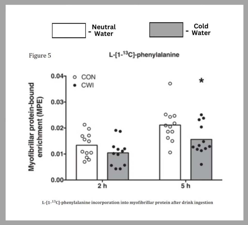 Cold Water Is COOLING OFF (Inhibiting) Your&nbsp;Gains!!