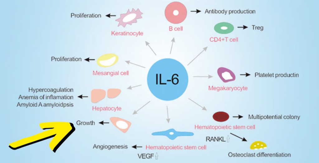 Is Ibuprofen Killing Your&nbsp;Gains??