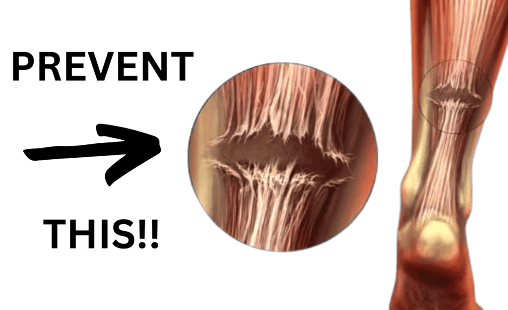 How to Prevent Tendon Injuries From Fast-Twitch&nbsp;Training!