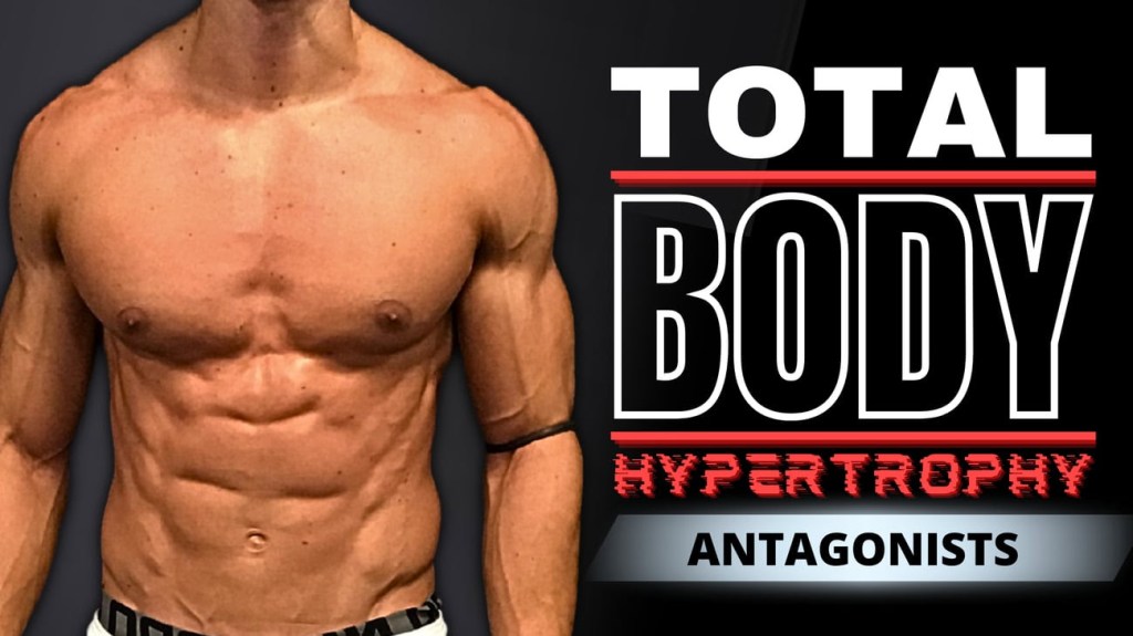 How to Boost Muscle Growth & Overall Fitness WITHOUT Extra Effort via Agonist-Antagonist Superset&nbsp;Training!