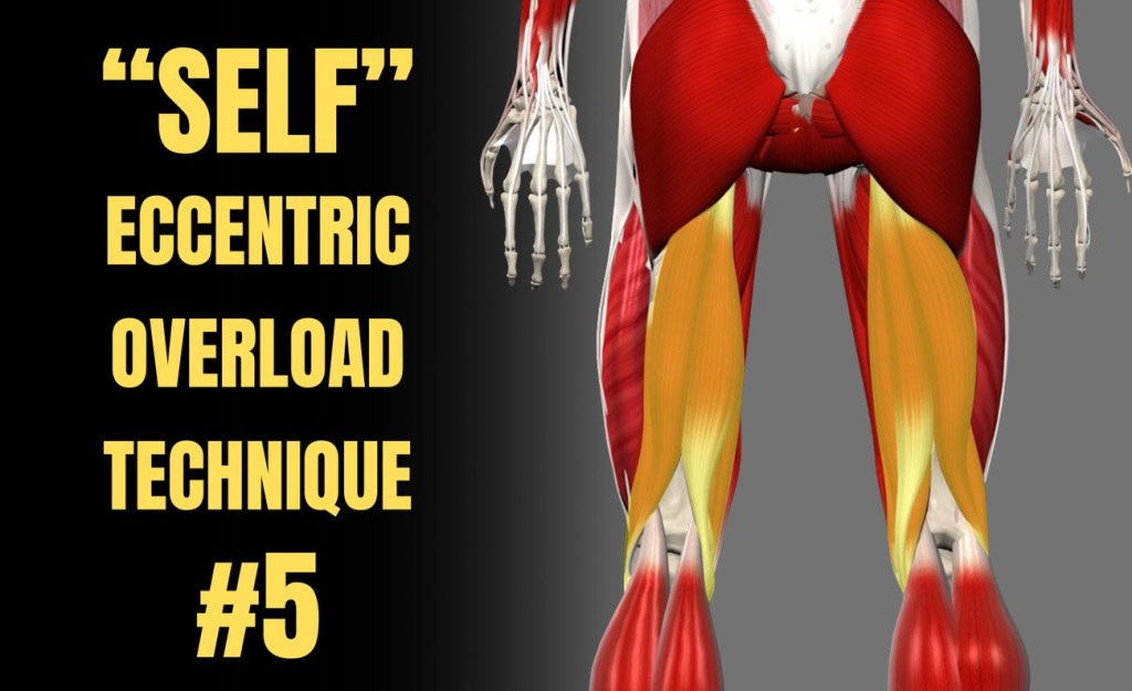 “Self” Eccentric-Overload Technique #5: The&nbsp;Hamstrings!