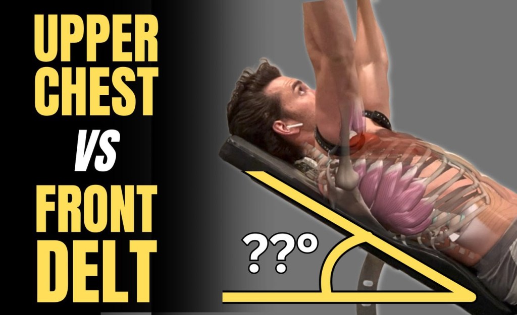 The Optimal Incline Press Angles for UPPER CHEST vs FRONT&nbsp;DELT