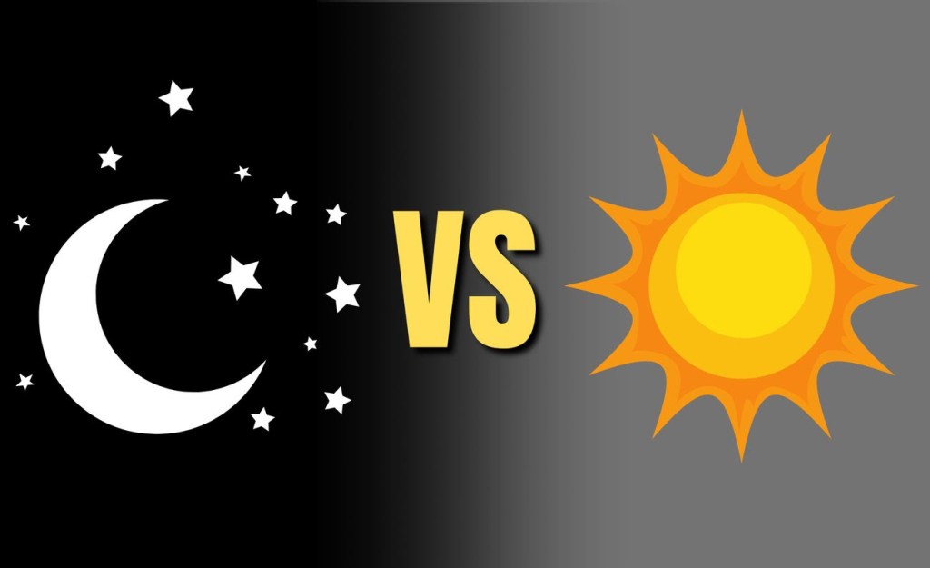 Workout Timing: Is Morning or Evening&nbsp;Better??