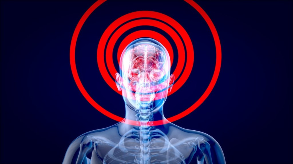 How Lifting Makes You Smarter&nbsp;(Osteocalcin)